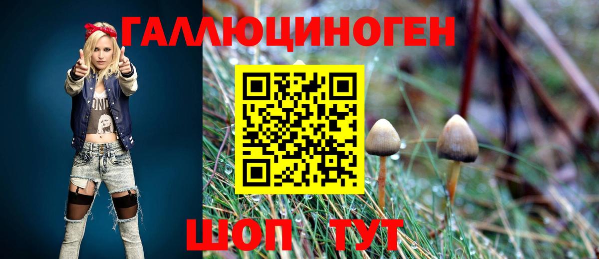 Псилоцибиновые грибы прущие грибы Светлоград