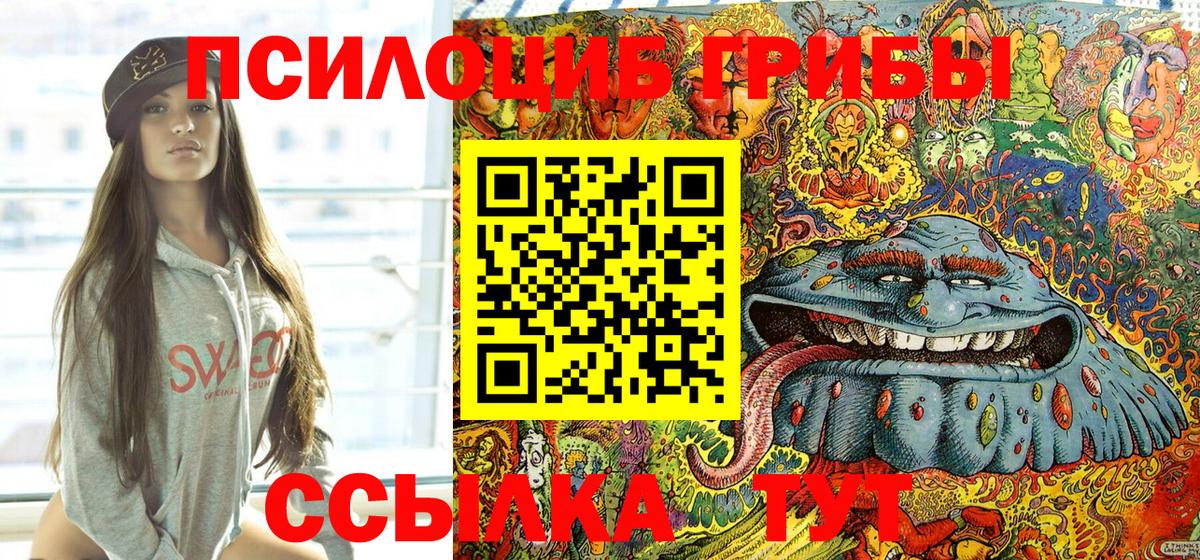 Галлюциногенные грибы Magic Shrooms  Вход с VPN  Светлоград  Галлюциногенные грибы Psilocybe 